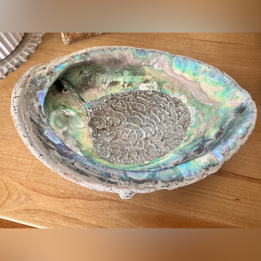 Large Abalone Shell Dish - Picture 13 of 15
